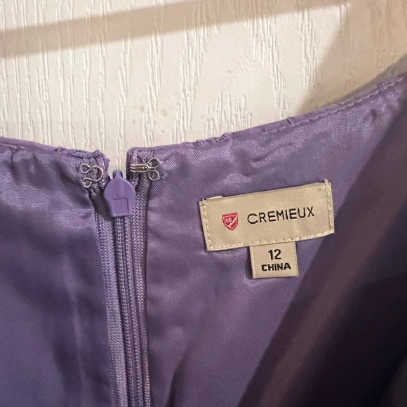 FINAL PRICE NWT Cremieux Purple Lace Dress - Picture 4 of 10